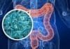 Bacterias Intestinales