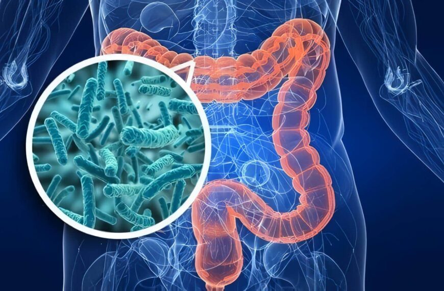 Bacterias Intestinales