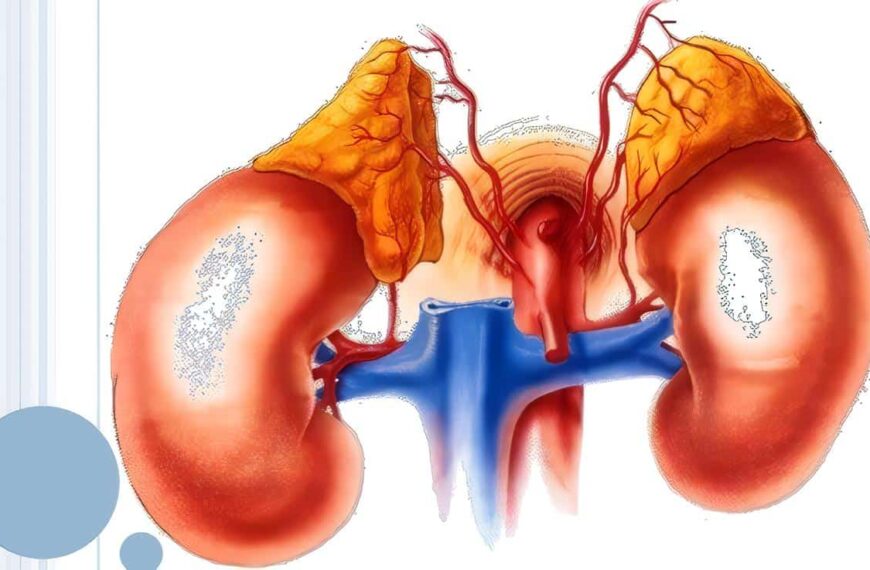 Corteza Suprerrenal