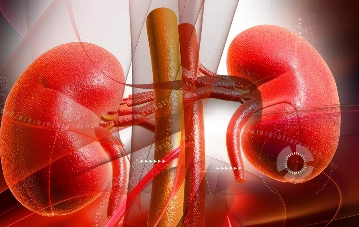 Enfermedad Renal Crónica