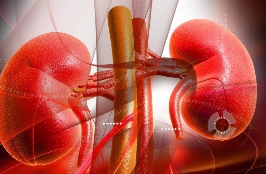 Enfermedad Renal Crónica