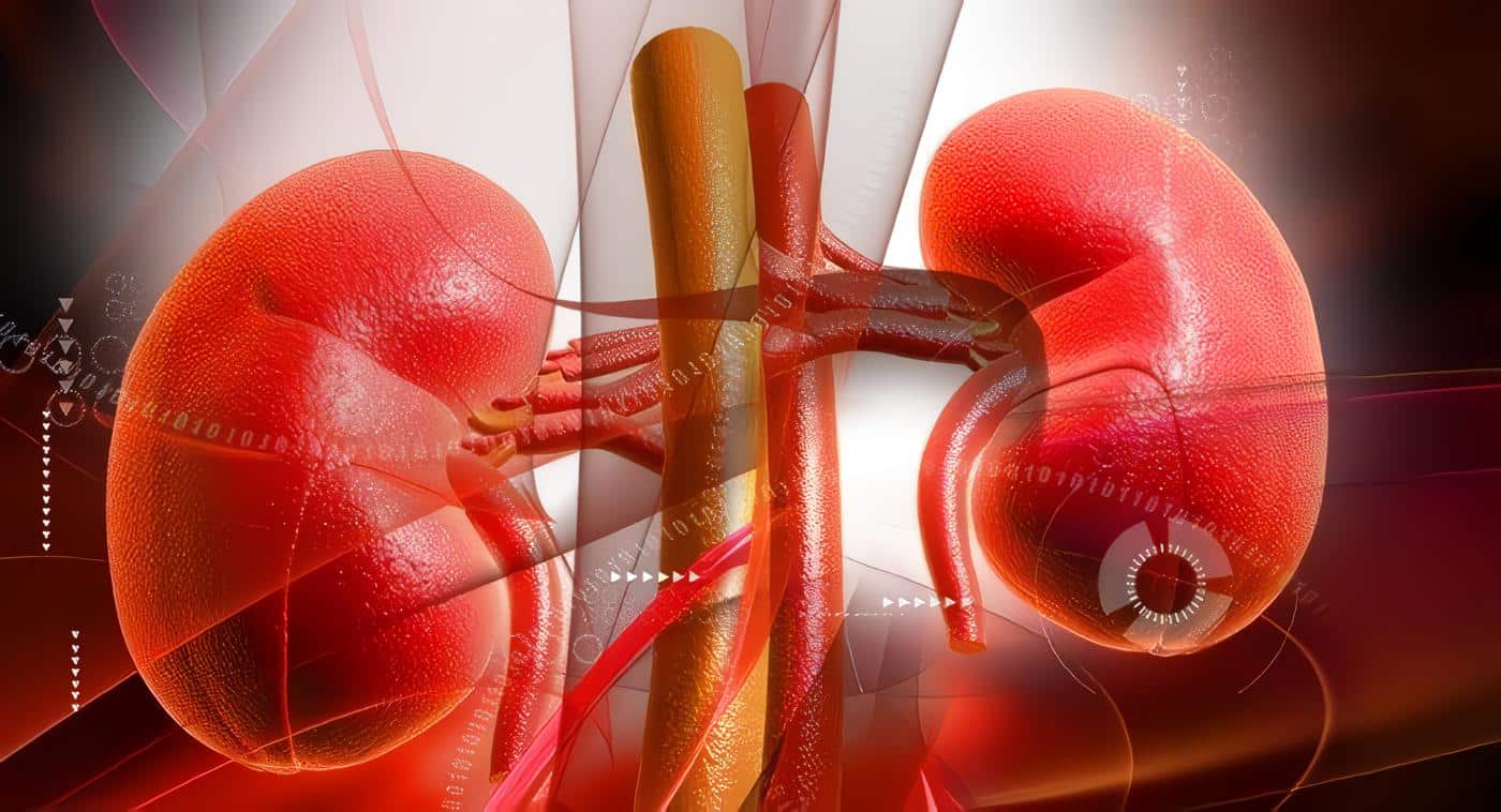 Enfermedad Renal Crónica