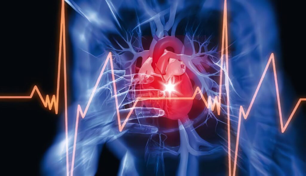 Envejece el Sistema Cardiovascular