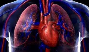 Fisiología Circulatoria