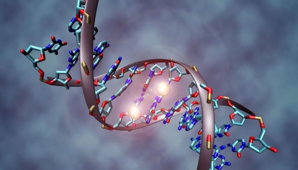 Genes Silenciados