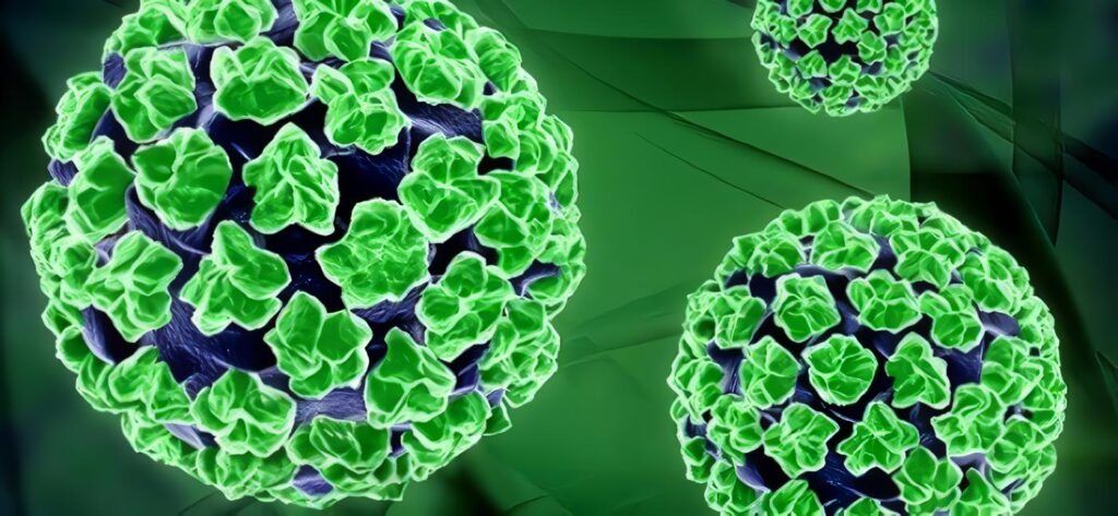 Genotipos del Virus del Papiloma Humano - - Respuesta Serológica