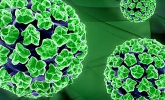Genotipos del Virus del Papiloma Humano - - Respuesta Serológica