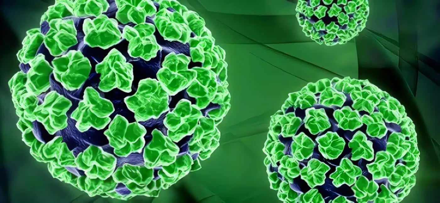 Virus papiloma genotipo 51. Infecţia cu virusul HPV (Human papilloma virus)