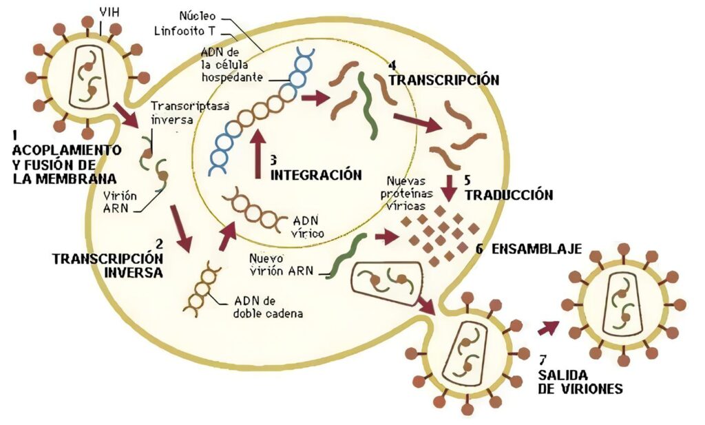 Infección por VIH