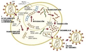 Infección por VIH