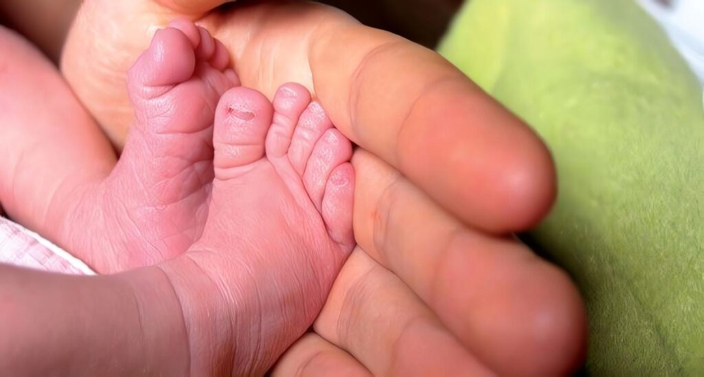 Investigaciones Sobre Rotavirus