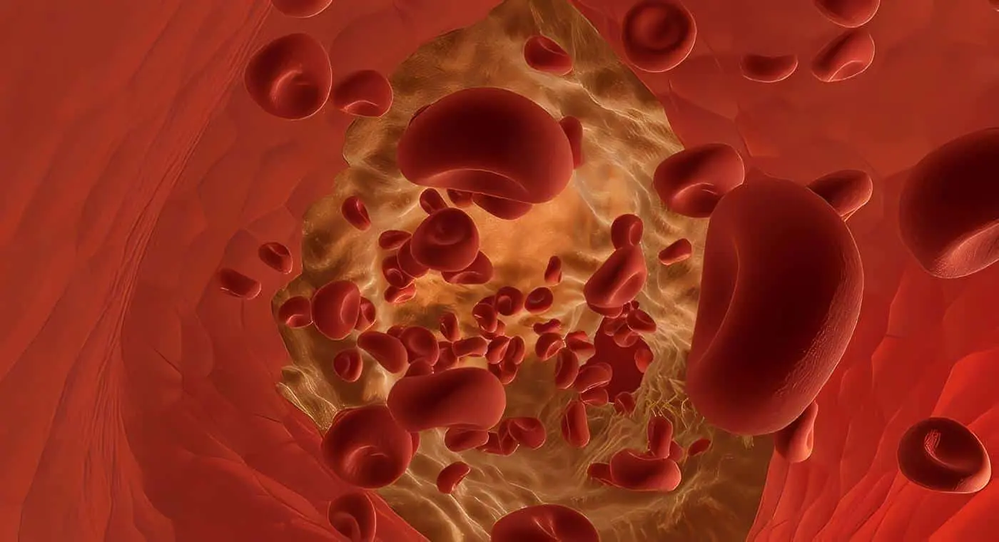 La Hemoglobina
