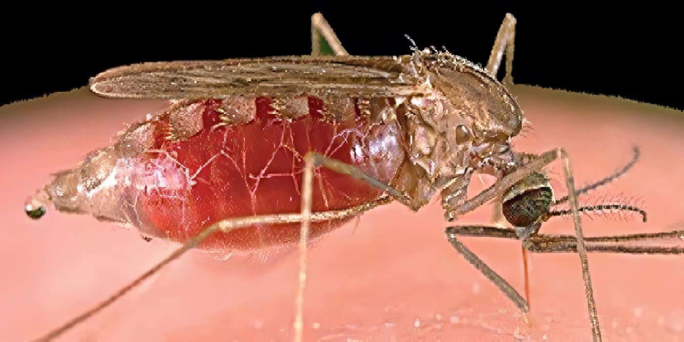 Malaria en Colombia