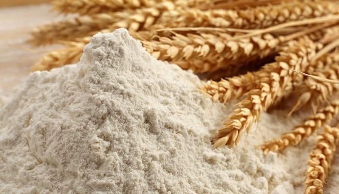 megaproyecto de producción de almidones