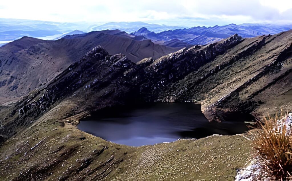 Fondo de Investigaciones “Mono Hernández”