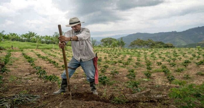 productores y empresarios del agro