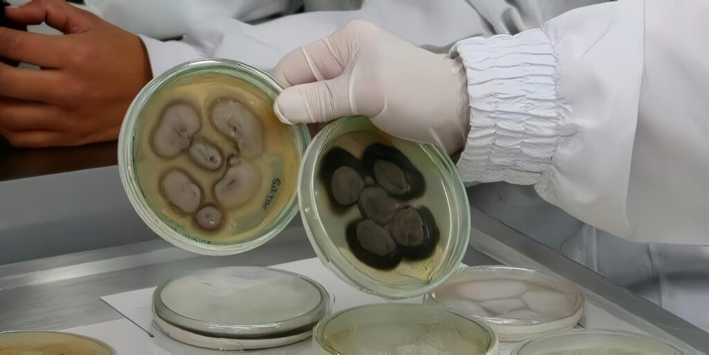 Proteoma en Leishmania