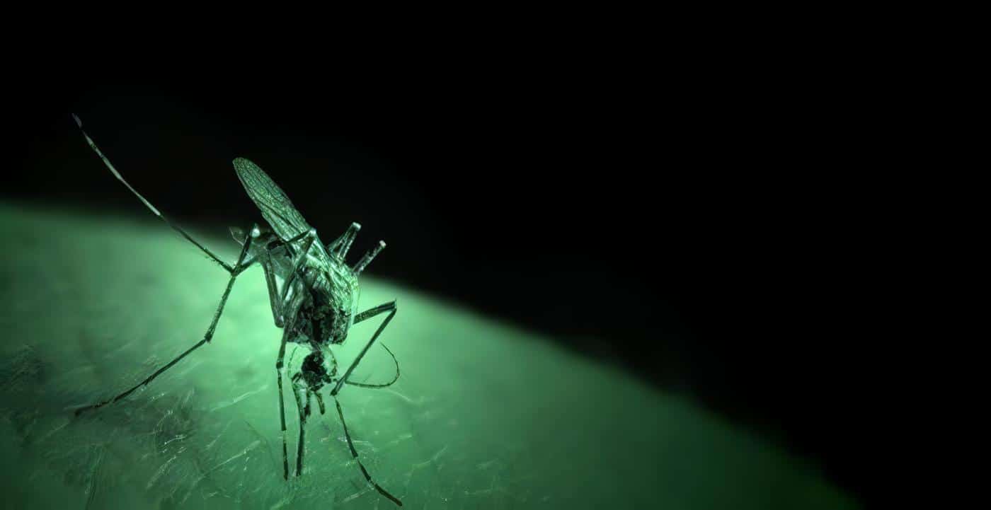 Prueba de Eficacia en Malaria