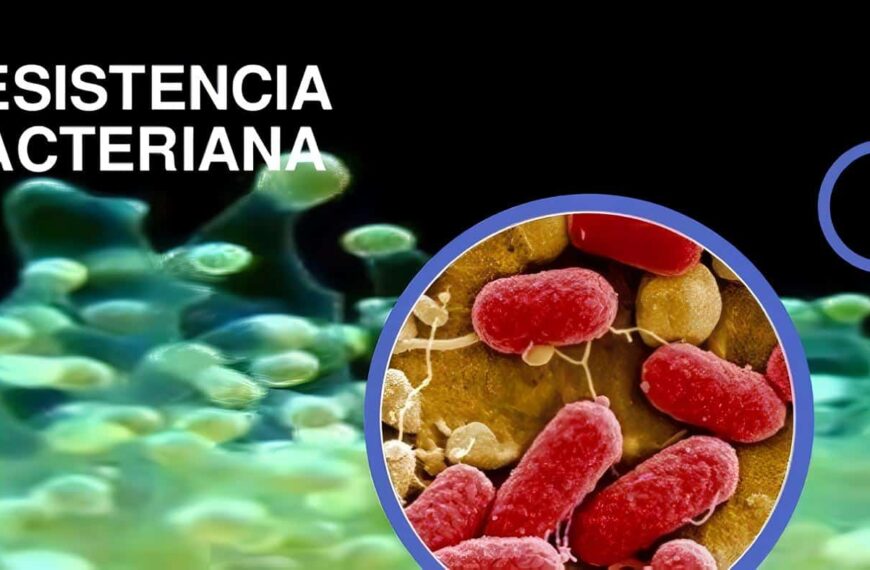 Resistencia Bacteriana