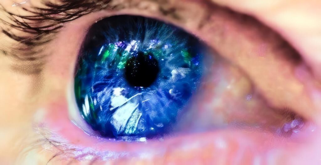 Retina en la Esquizofrenia