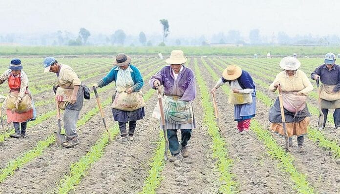 sectores exportadores agropecuarios