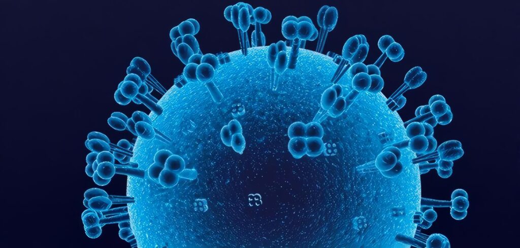 Virus Linfotrópicos Humanos