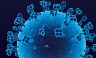 Virus Linfotrópicos Humanos