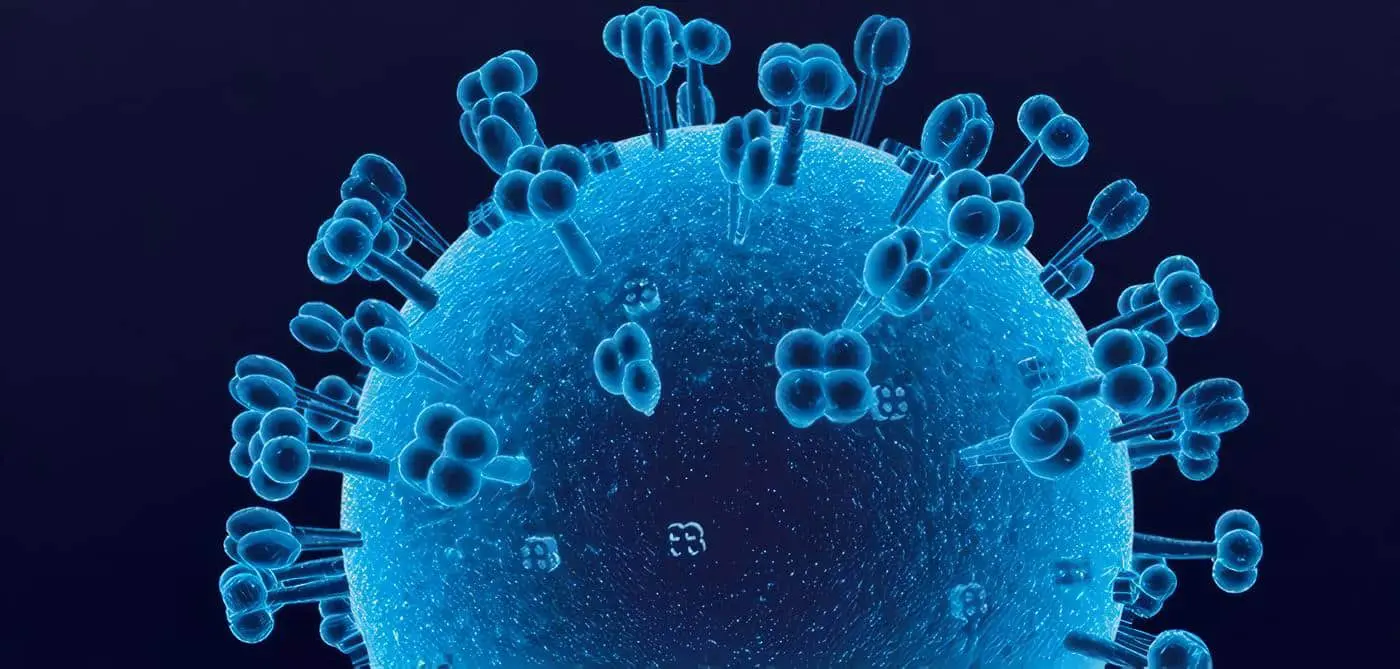 Virus Linfotrópicos Humanos