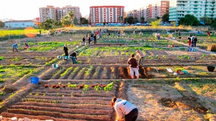 Agricultura Urbana y Periurbana