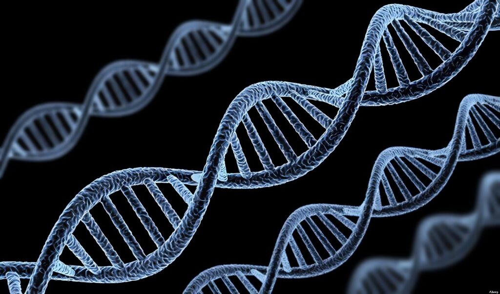 genes ancestrales - Eva mitocondrial