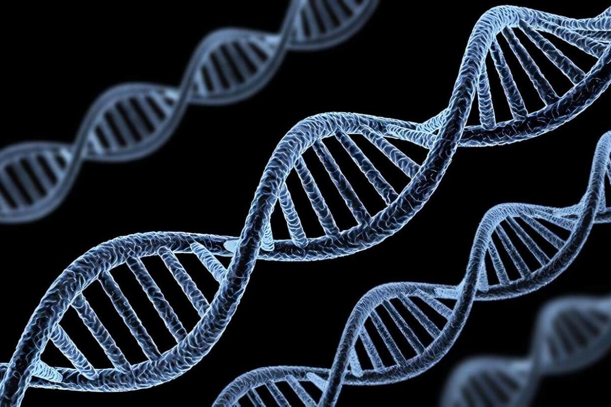 genes ancestrales - Eva mitocondrial