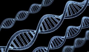 genes ancestrales - Eva mitocondrial