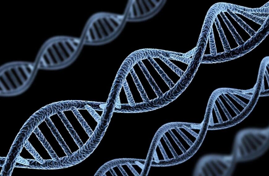 genes ancestrales - Eva mitocondrial