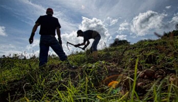 aliviar a productores del campo