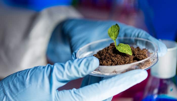 biotecnologías agrícolas