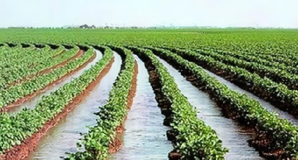 Nuevo Distrito de Conservación de Suelos