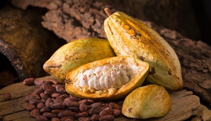 moniliasis del cacao