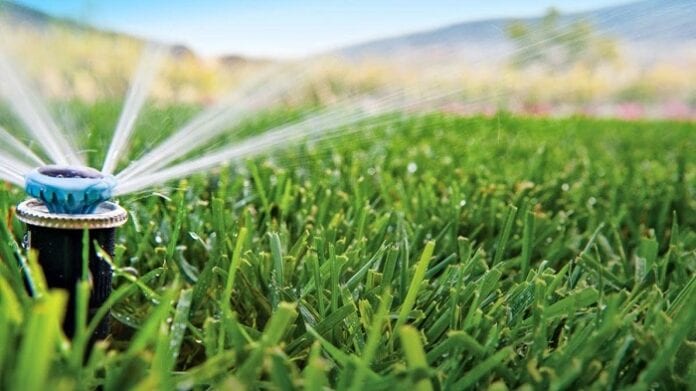 productores agropecuarios