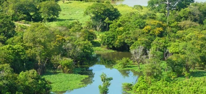 Selva Adentro-Amazonas