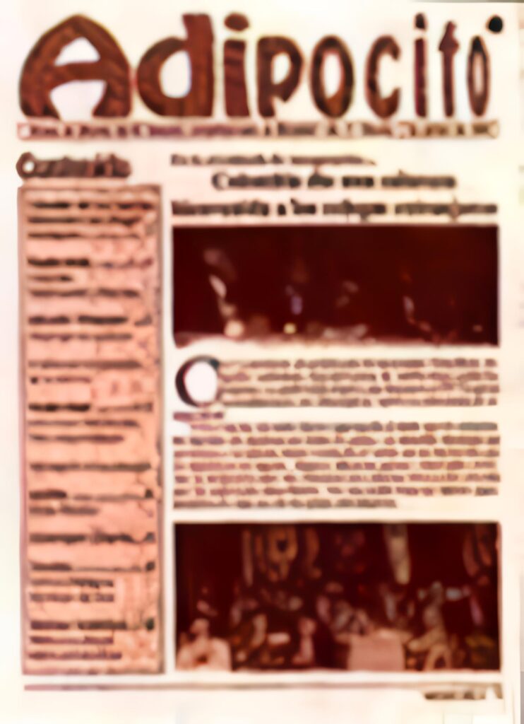 Portada de Adipocito