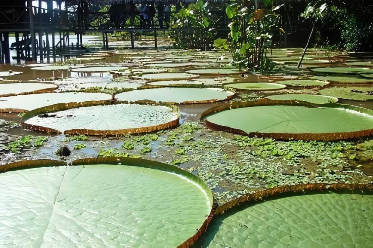 Colombia amplía Zonas de Reserva Natural