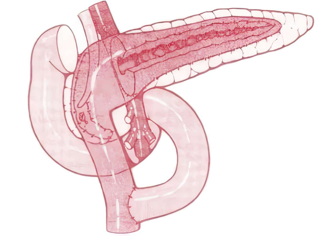 Novedad Bibliográfica: Endoscopia y Patología Biliodigestiva