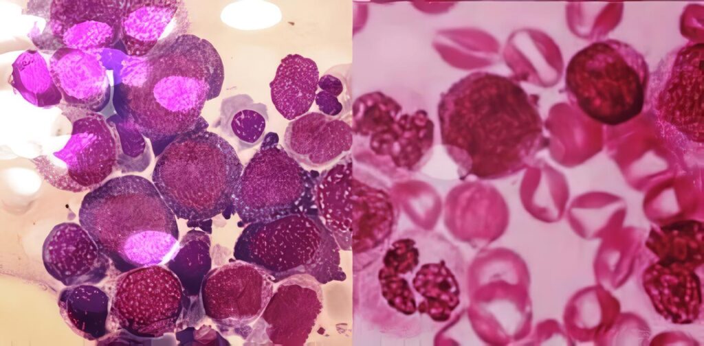 Activación Molecular Biológico