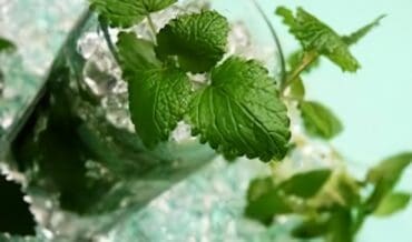 Coctel sin licor de Manzana con Menta