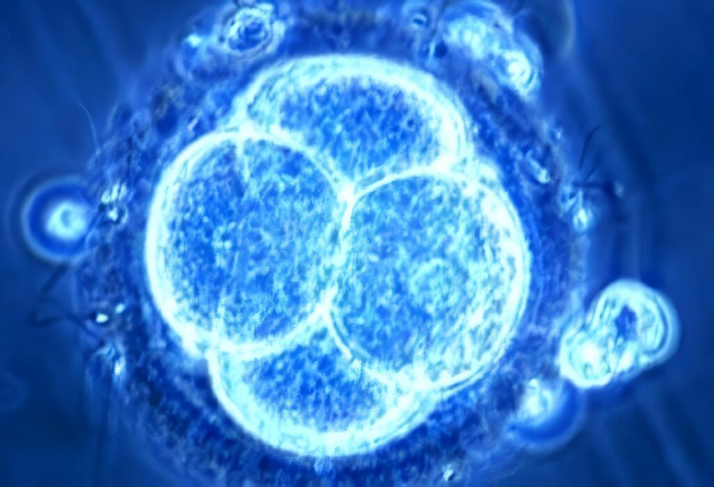 Influencia Activación Molecular