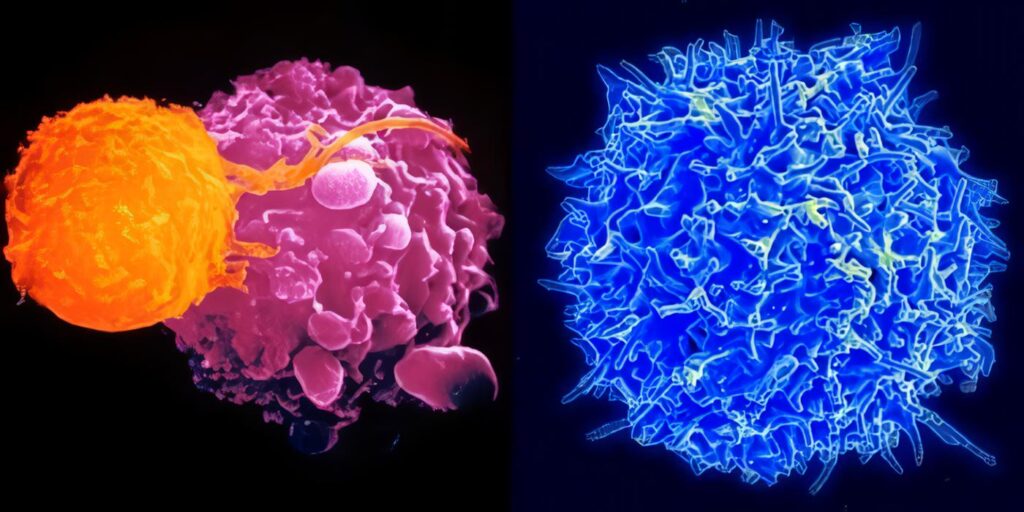Ultravioleta Activación Molecular