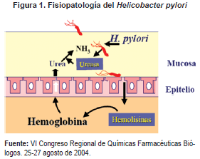 Fisiopatología del Helicobacter pylori