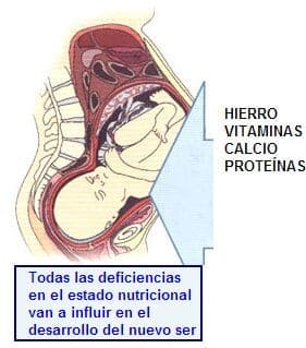 Deficiencias Nutricionales para el Bebe