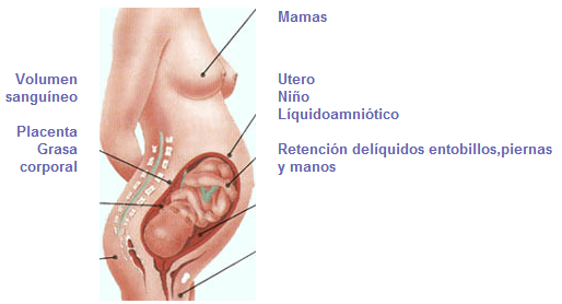 Peso de la Madre en el Embarazo