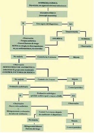 Algoritmo para el tratamiento de Otitis Media con Efusión